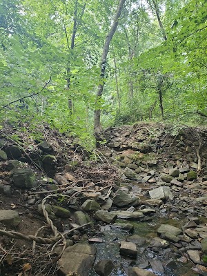 Alapocas Ball Fields - photo 44