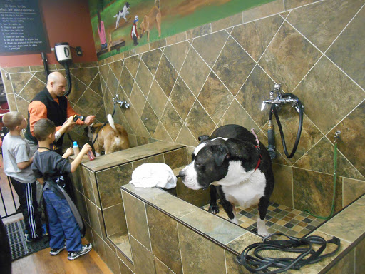 Pet Supply Store «Pet Valu», reviews and photos, 3475 Berlin Turnpike, Newington, CT 06111, USA