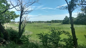Brill Field - photo 7