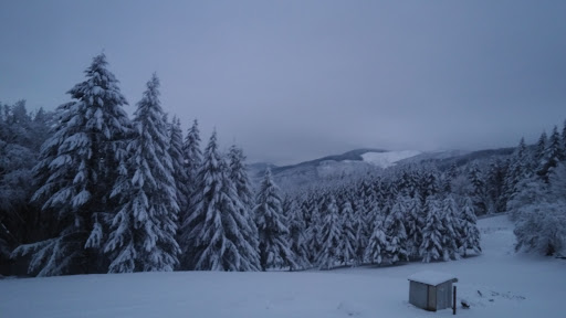 Grocery Store «Super Mercado La Montana», reviews and photos, 1905 Mountain View Ln # 100, Forest Grove, OR 97116, USA