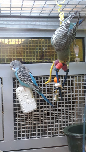 Pet Supply Store «PetSmart», reviews and photos, 10129 Crossing Way #450, Denham Springs, LA 70726, USA