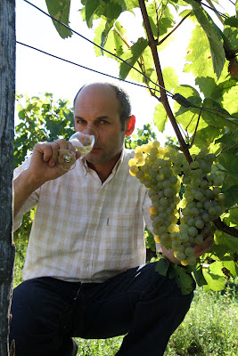 EARL Loquineau | Domaine de la Plante d'Or à Cheverny