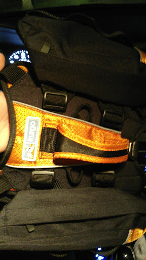 Pet Supply Store «Petco Animal Supplies», reviews and photos, 1207 S Caraway Rd, Jonesboro, AR 72401, USA