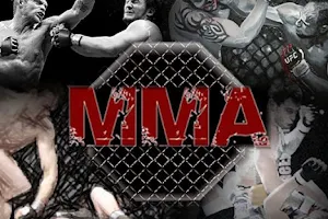 NFT MMA-BJJ & Sports Academy image