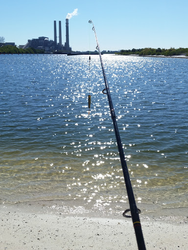 Nature Preserve «Apollo Beach Preserve», reviews and photos, 6760 Surfside Blvd, Apollo Beach, FL 33572, USA