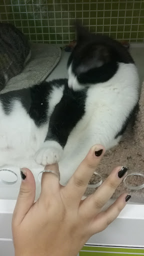 Pet Supply Store «Petco Animal Supplies», reviews and photos, 7215 170th Ave NE #115, Redmond, WA 98052, USA