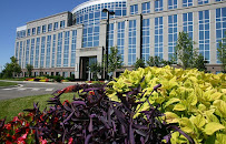 LSI - Landscape Services Inc. - Photo 5 - Car repair in Nashville, TN, Nashville
