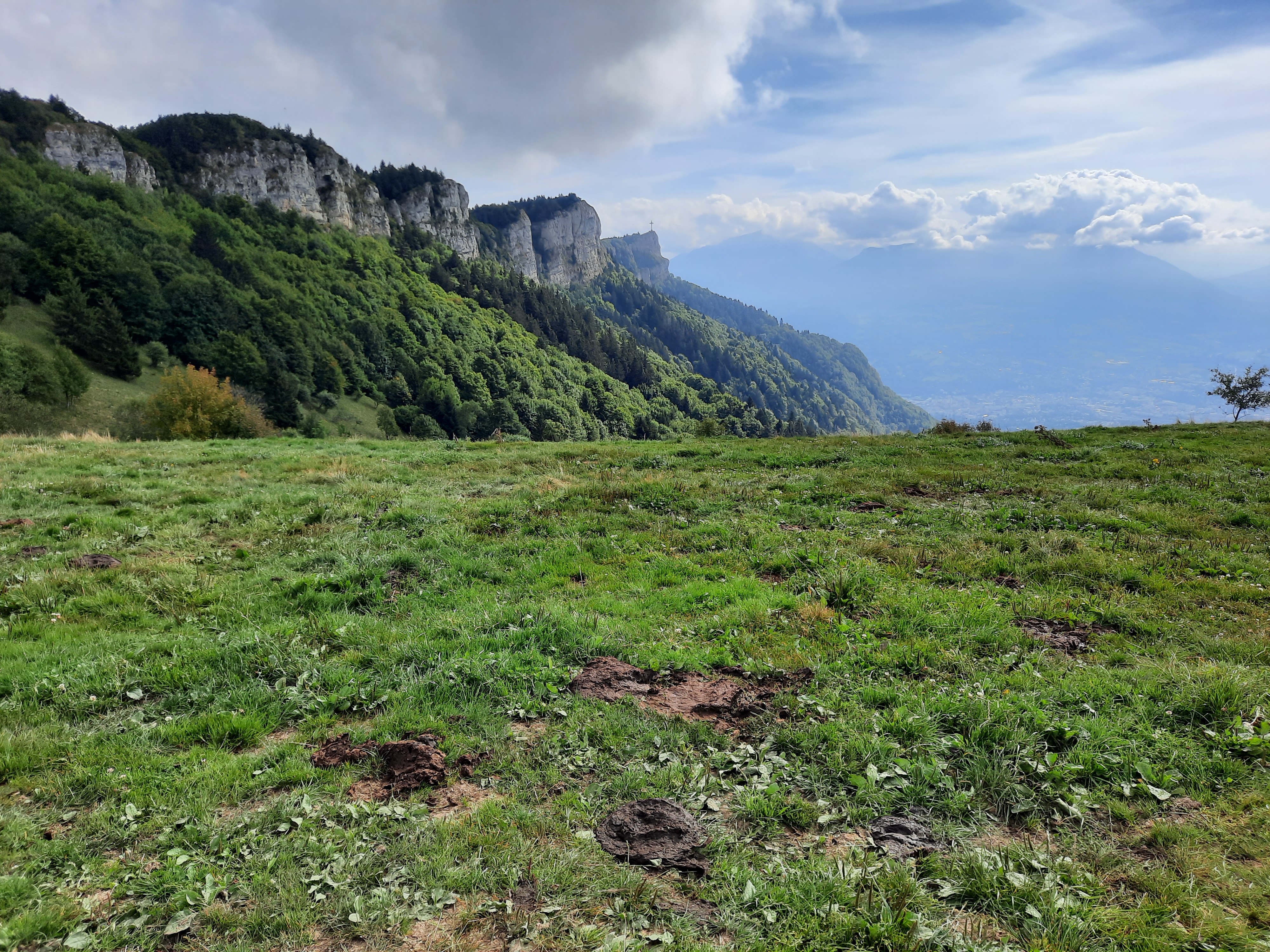 Photo n° 18 de l'avis de Tim.A fait le 19/09/2021 à 10:39