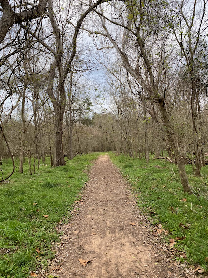 Brazos Bend State Park


