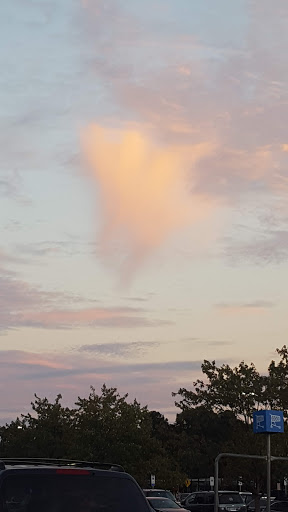 Department Store «Walmart Supercenter», reviews and photos, 2410 Sheila Ln, Richmond, VA 23225, USA