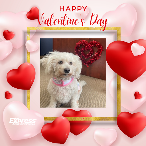 Employment Agency «Express Employment Professionals - Laguna Hills», reviews and photos, 23181 Verdugo Dr #104b, Laguna Hills, CA 92653, USA