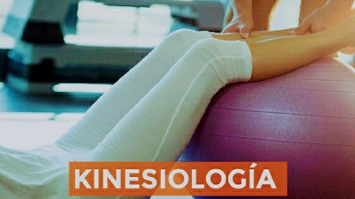 Encinesis Kinesiología y Fisioterapia