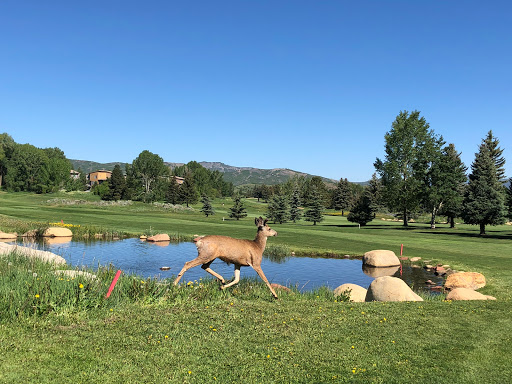 Tennis Court «Aspen Golf & Tennis Club», reviews and photos, Truscott Pl, Aspen, CO 81611, USA