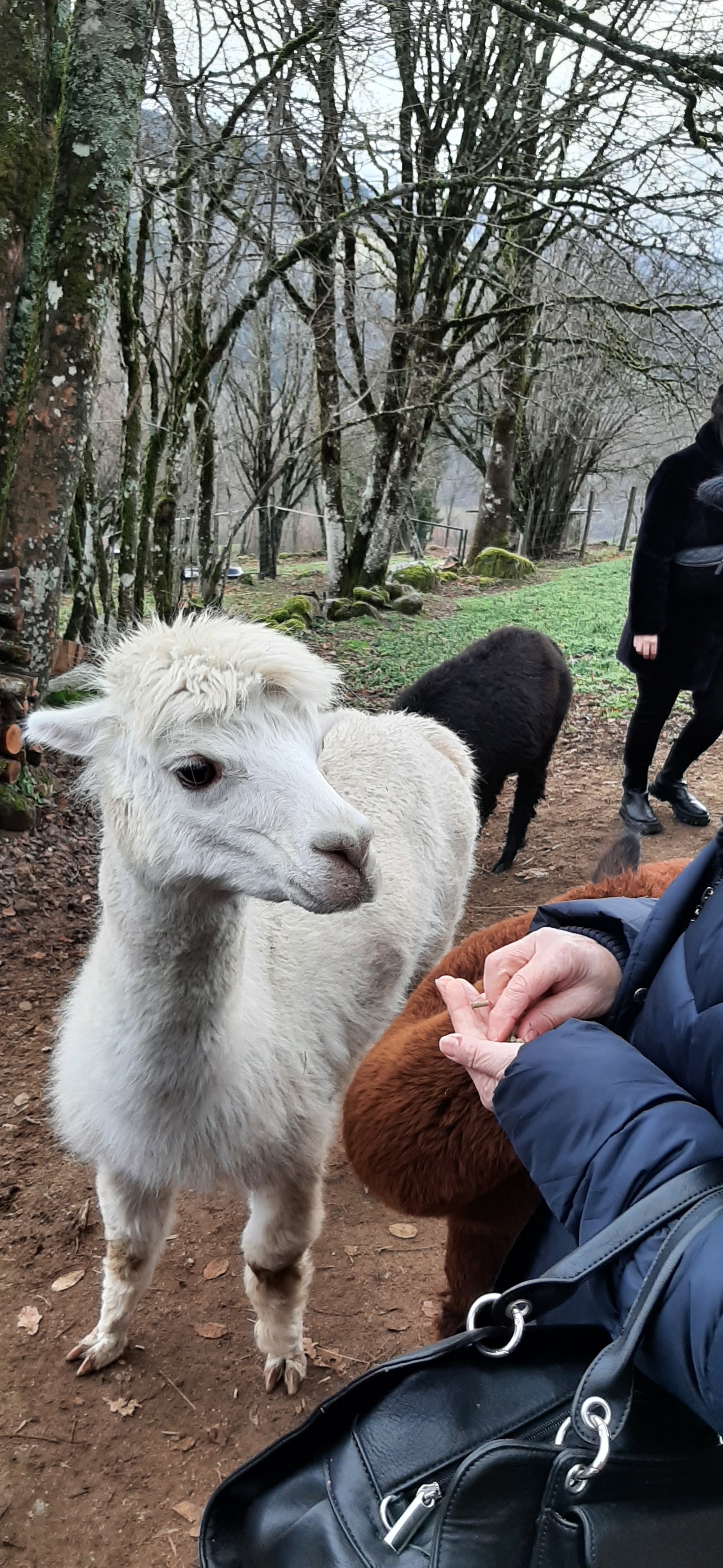 Photo n° 4 de l'avis de laurence.e fait le 30/12/2022 à 18:18