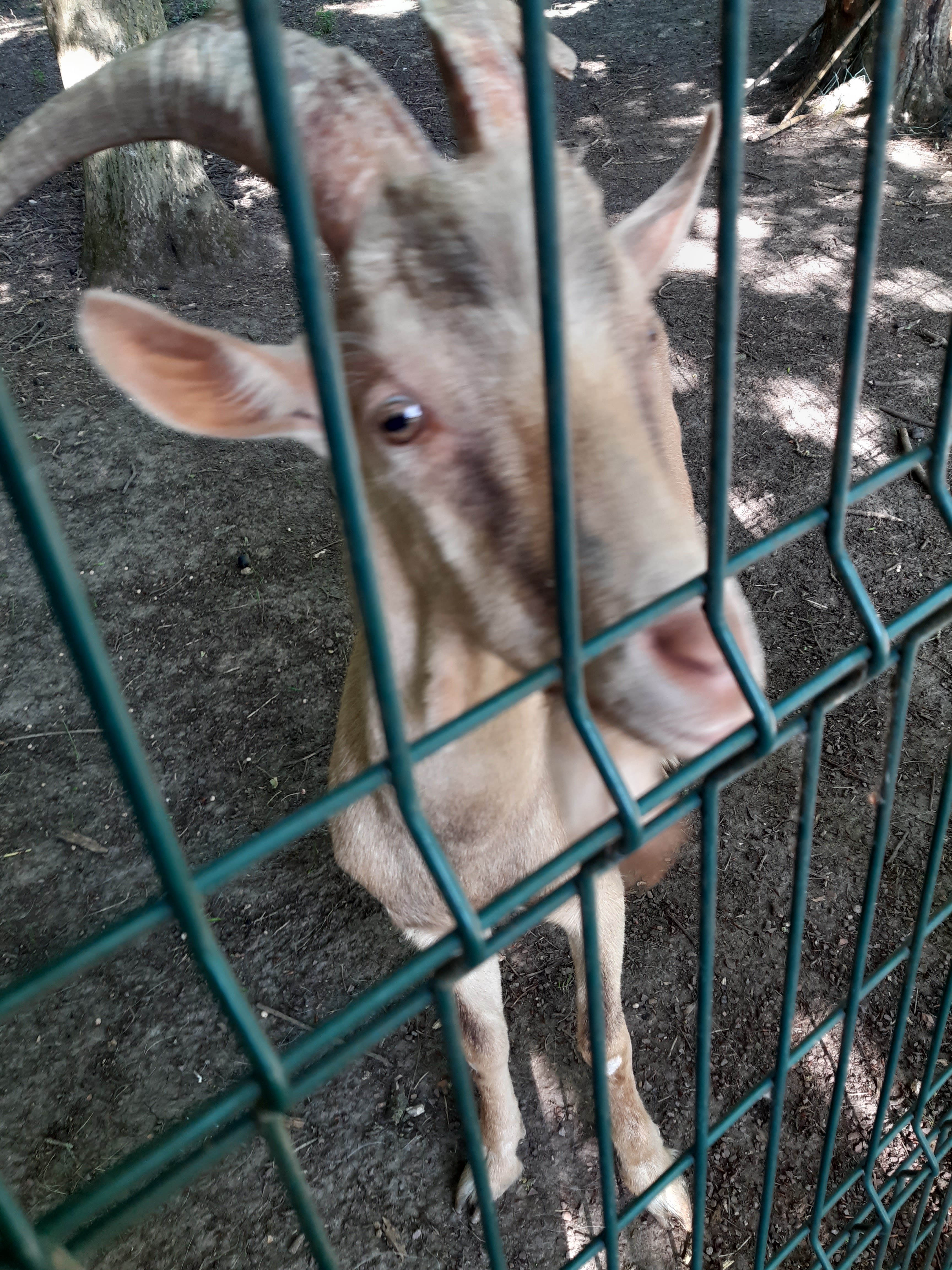 Photo n° 1 de l'avis de Yeux.l fait le 12/06/2022 à 17:56