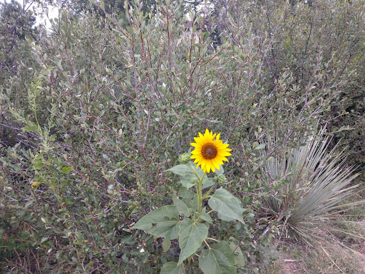 Park «Rudy Park», reviews and photos, 5360 Cracker Barrel Cir, Colorado Springs, CO 80917, USA