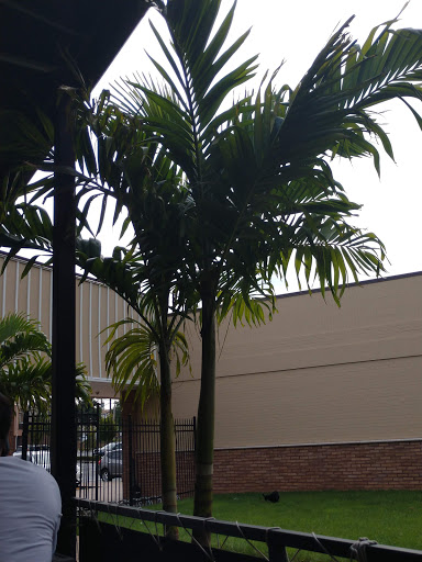 Shopping Mall «Woodrow Shopping Plaza», reviews and photos, 655 Rossville Ave, Staten Island, NY 10309, USA