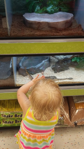 Pet Supply Store «Petco Animal Supplies», reviews and photos, 1207 S Caraway Rd, Jonesboro, AR 72401, USA