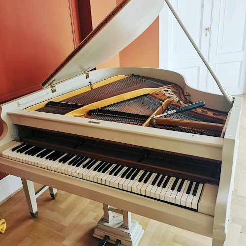 Dimitri Proost Pianoservice - Waver