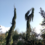 Photo n° 7 de l'avis de Sabine.e fait le 24/09/2023 à 09:01 pour Reflets de Jardin à Penin