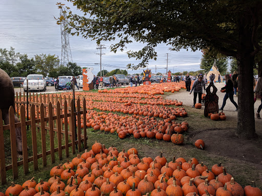 Produce Market «Didier Farms», reviews and photos, 16678 Aptakisic Rd, Lincolnshire, IL 60069, USA