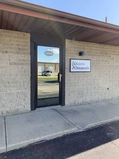 Brian J Olson DC - Pet Food Store in Covington Ohio