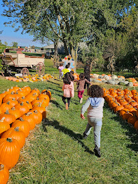 Milanni's Daycare Inc - Photo 5 - Car repair in Gurnee, IL, Round Lake Beach