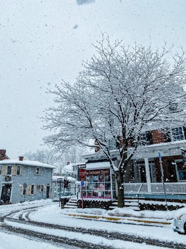 Florist «An Enchanted Florist Inc.», reviews and photos, 39 W State St, Doylestown, PA 18901, USA