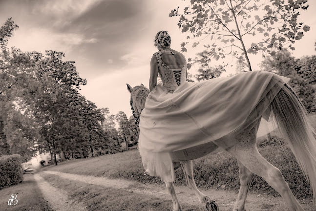 Avis sur David Besse Studio photo à Mâcon - Photographe
