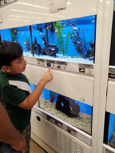 Pet Supply Store «Petco Animal Supplies», reviews and photos, 22511 TX-249, Houston, TX 77070, USA