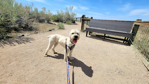 Nature Preserve «Bluff Lake Nature Center», reviews and photos, 3400 Havana Way, Denver, CO 80238, USA