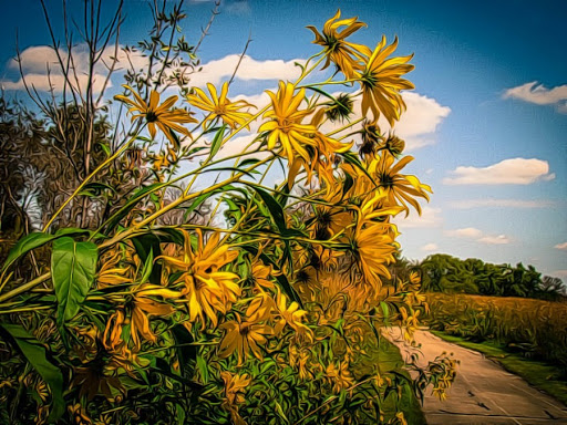 Nature Preserve «Hickory Creek Preserve», reviews and photos, Wolf Rd, Mokena, IL 60448, USA