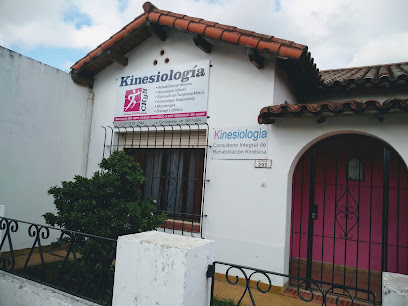 Centro De Kinesiología Y Neurología CKyN
