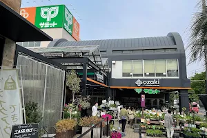 Ozaki Flower Park image