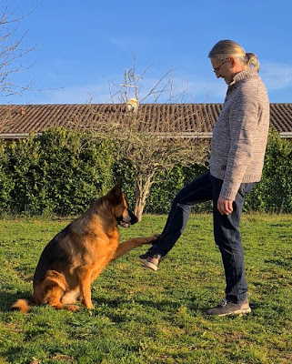 Educ ton chien éducateur canin Landes Gers Centre de formation prévention des risques canin et langage canin à Pujo-le-Plan