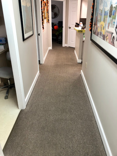 Dynamic Carpet Cleaning Tampa