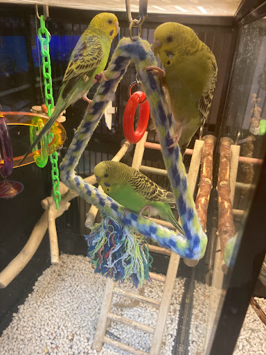 Pet Supply Store «PetSmart», reviews and photos, 2389 Taylor Park Dr, Reynoldsburg, OH 43068, USA