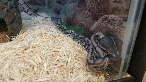 Pet Supply Store «Petco Animal Supplies», reviews and photos, 7721 Mentor Ave, Mentor, OH 44060, USA