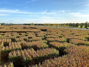 Twin Cities Maze - photo 57