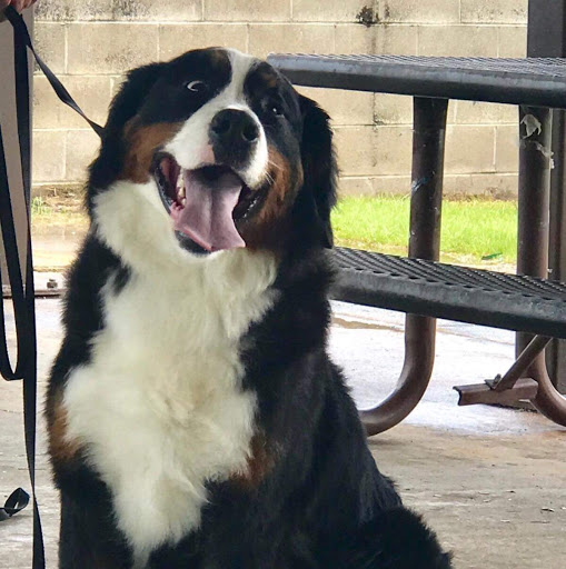 Pet Store «For Healthy Pets!», reviews and photos, 5165 Atlanta Hwy, Montgomery, AL 36109, USA