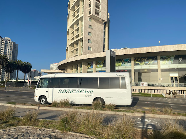 Opiniones de Sociedad De Servicios Macalvi Limitada en La Serena - Servicio de transporte