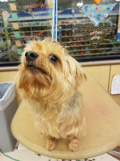 Pet Supply Store «PetSmart», reviews and photos, 1300 John F Kennedy Rd, Dubuque, IA 52002, USA