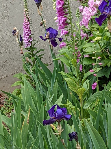 Vineyard «Cristom Vineyards», reviews and photos, 6905 Spring Valley Rd NW, Salem, OR 97304, USA