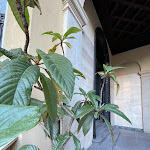 Photo n°12 de l'avis de Yana.s fait le 01/08/2022 à 15:32 sur le  Cadorna Luxury Hotel à Milan