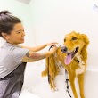 Fetch! Dog Daycare & Grooming