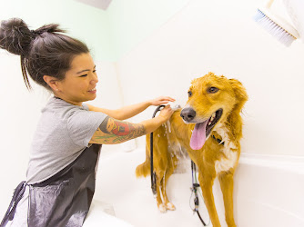 Fetch! Dog Daycare & Grooming