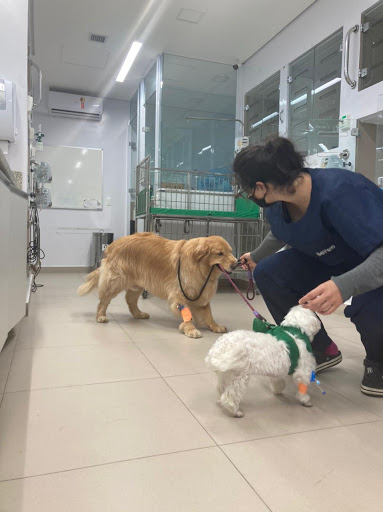 Hospital Veterinário Seres 24h em São Paulo - SP