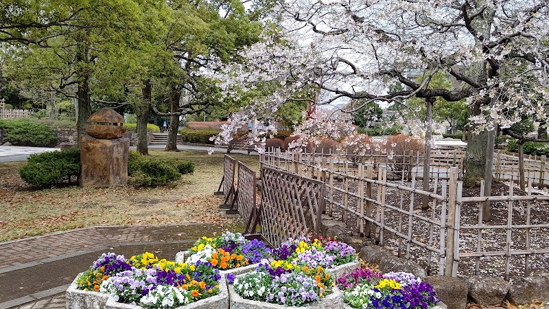 中央公園の熊谷桜