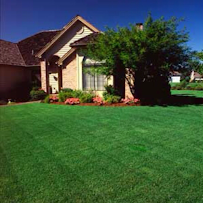 Ultimate property maintenance - Photo 9 - Car repair in , Medford