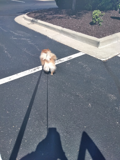 Pet Supply Store «Petco Animal Supplies», reviews and photos, 2823 County Home Rd, Goshen, IN 46526, USA